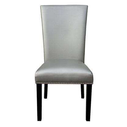 Steve Silver Mhlanga Modern Dining Chair (Set of 2)