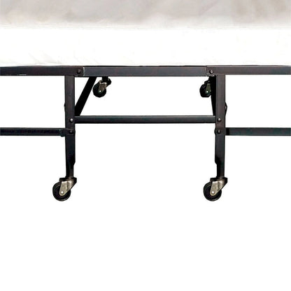Feld Contemporary Black 48-inch Steel Rollaway Bed with Mattress by Furniture of America