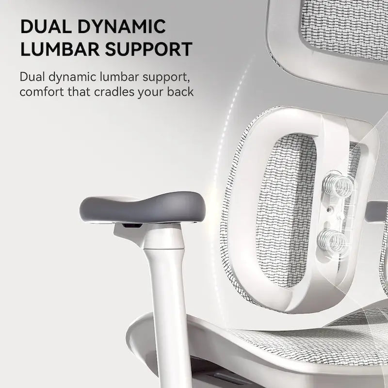 SIHOO Doro S100 Ergonomic Mesh Office Chair with Adjustable seat depth - 74*70*127