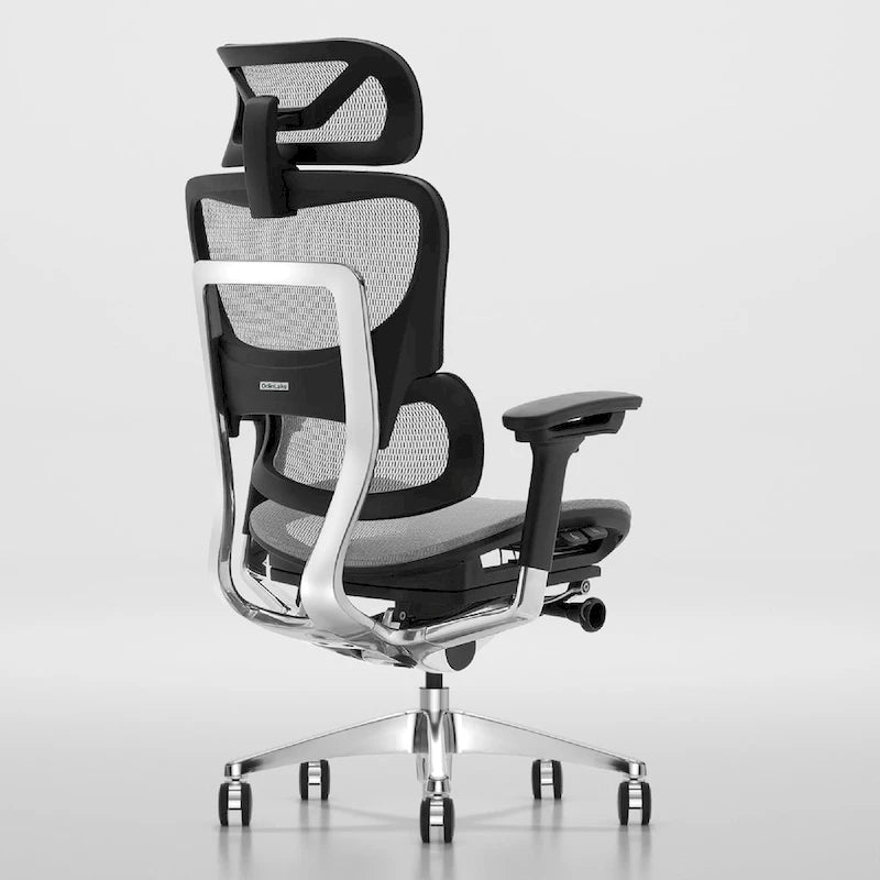 OdinLake High Back Office Chair Home Desk Chair Computer Chair Whitout Footrest