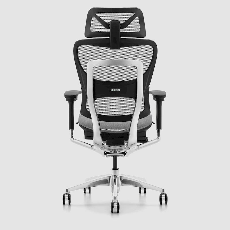 OdinLake High Back Office Chair Home Desk Chair Computer Chair Whitout Footrest