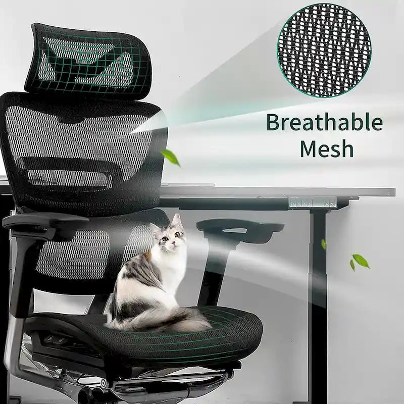 OdinLake High Back Office Chair Home Desk Chair Computer Chair Whitout Footrest